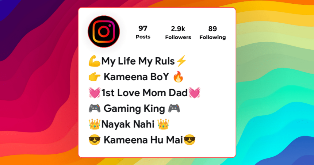 Instagram Bio For Boys Attitude